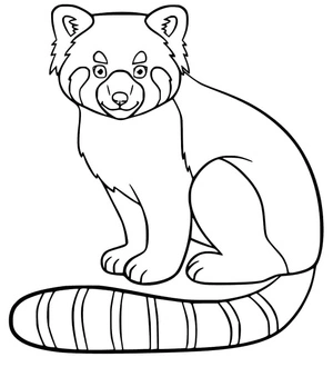 Página para Colorir Página para Colorir de Panda Vermelho para Imprimir
