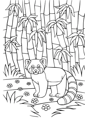Página para Colorir Ilustração de Panda Vermelho para Imprimir