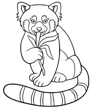 Página para Colorir Panda Vermelho Comendo Folhas