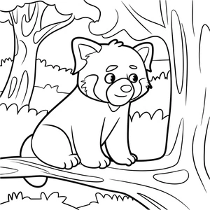 Página para Colorir Panda Vermelho na Árvore
