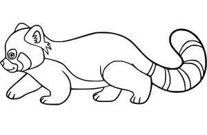 Página para Colorir Panda Vermelho Passeando