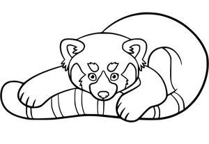 Página para Colorir Panda Vermelho Padrão