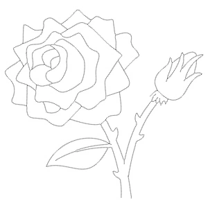 Página para Colorir Página para Colorir com Contorno de Rosa