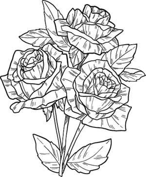 Página para Colorir Desenho de Rosa