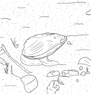 Uma Concha Solitária Descansando no Fundo Arenoso do Mar