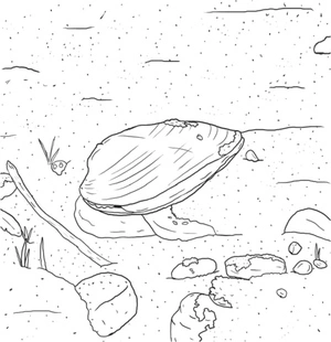 Página para Colorir Uma Concha Solitária Descansando no Fundo Arenoso do Mar