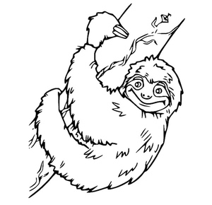 Página de Colorir de Bicho-Preguiça Grátis