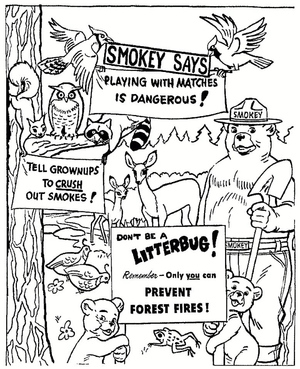 Ursinho Smokey na Floresta