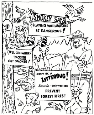 Página para Colorir Ursinho Smokey na Floresta