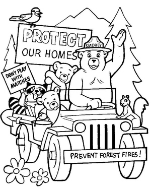 Ursinho Smokey com Amigos da Floresta