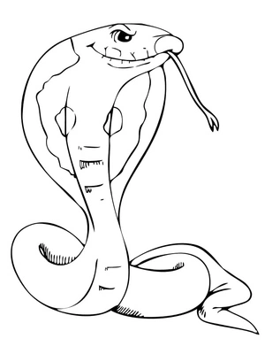 Página para Colorir Serpente Real