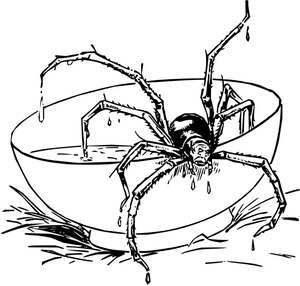Página para Colorir Página para Colorir de Aranha para Imprimir para Crianças