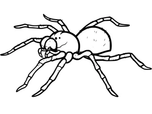 Página para Colorir Página para Colorir de Aranha Assustadora para Imprimir