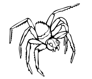 Aranha