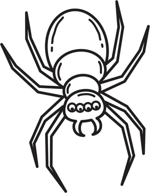 Aranha Simplificada