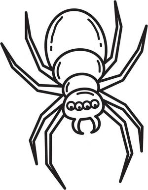 Página para Colorir Aranha Simplificada