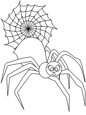 Aranha e Teia