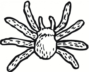 Desenho para Colorir Spider Kids para Imprimir