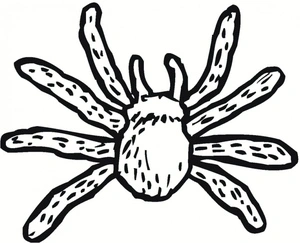 Página para Colorir Desenho para Colorir Spider Kids para Imprimir