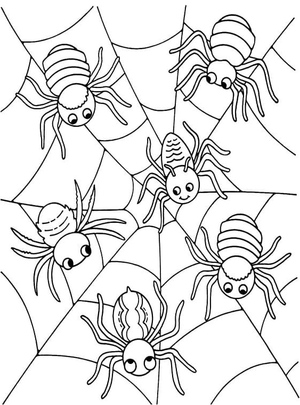 Aranhas na Teia - Página para Colorir