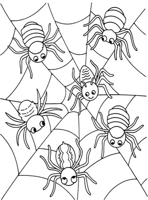 Página para Colorir Aranhas na Teia - Página para Colorir