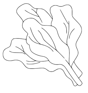 Imprimir "Espinafre" para a página de colorir.