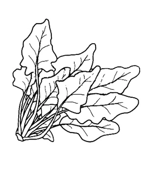 Página para Colorir Cacho de Espinafre