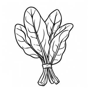 Verde Espinafre