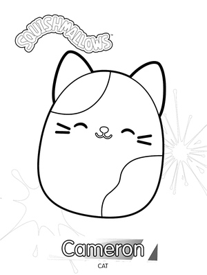 Cameron, o Gato Squishmallow