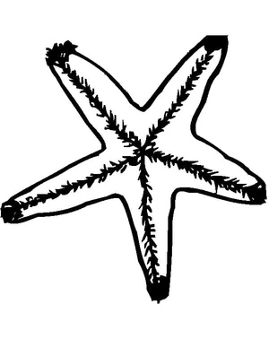 Página para Colorir Página para Colorir de Estrela-do-Mar