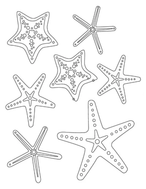 Página para Colorir Sortimento de Estrelas-do-mar
