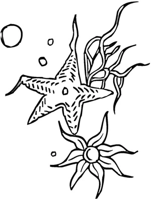 Página para Colorir Página de Colorir Estrela-do-Mar para Crianças