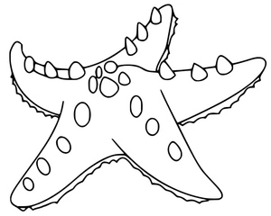 Página para Colorir Página para Colorir Estrela-do-Mar Grátis