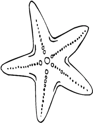 Página para Colorir Imprima a Ilustração de Estrela-do-Mar e evite rotulá-la como Página para Colorir