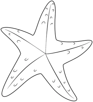 Página para Colorir Folha 5: Página para colorir de estrela-do-mar