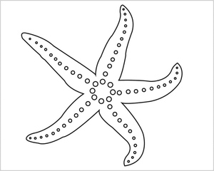 Estrela-do-mar Simples