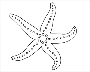 Página para Colorir Estrela-do-mar Simples