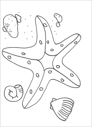 Página para Colorir Estrela-do-Mar e Conchas