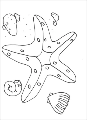 Página para Colorir Página para Colorir Estrela-do-Mar e Conchas