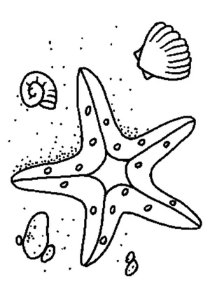 Página para Colorir Página para Colorir de Estrela-do-Mar e Conchas