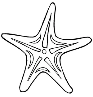 Página para Colorir Página para Colorir Estrela-do-Mar 4