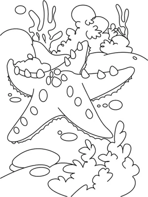 Página para Colorir Estrela-do-mar Subaquática