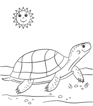 Desenho Animado Tartaruga Solar