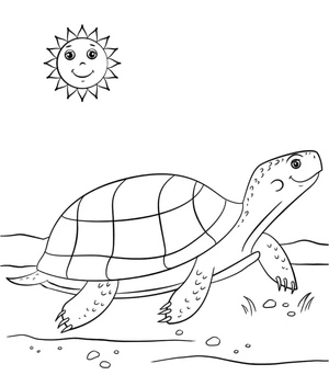 Página para Colorir Desenho Animado Tartaruga Solar