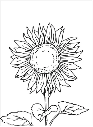 Página para Colorir Girassol com Design de Três Folhas