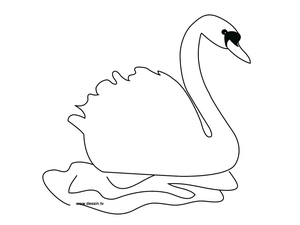 Cisne