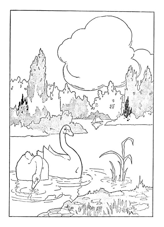 Página para Colorir Par de Cisnes