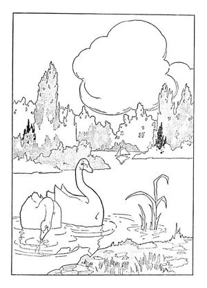 Página para Colorir Par de Cisnes