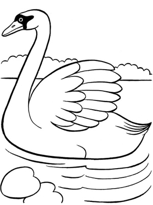 Cisne em Voo