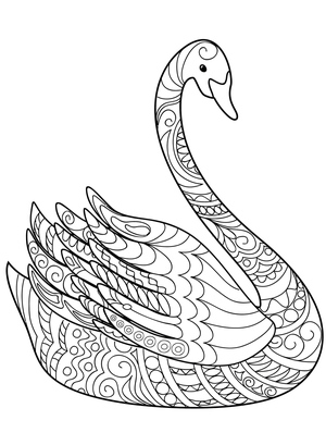 Zentangle Cisne